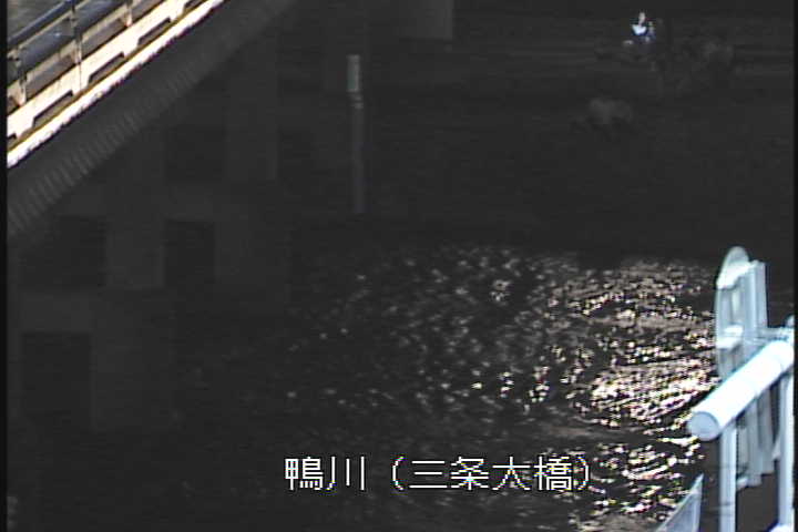 J摜