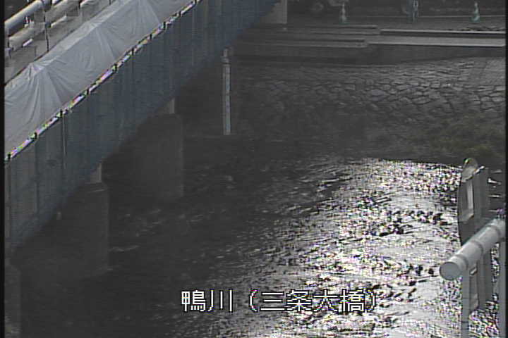 �J�����摜