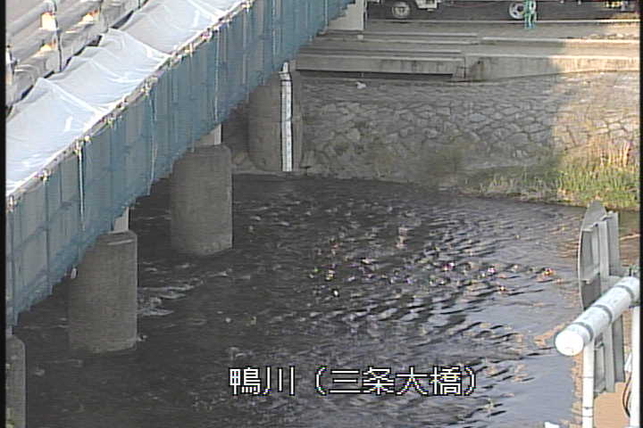 �J�����摜