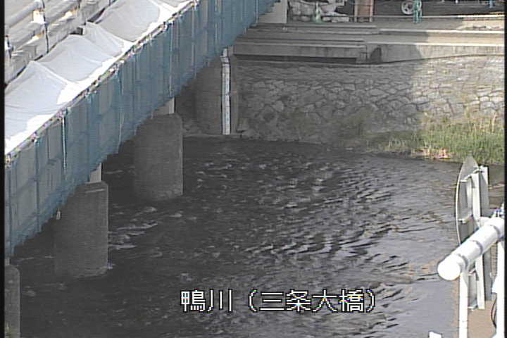 �J�����摜