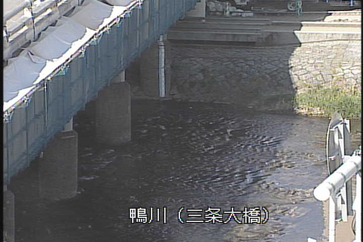 �J�����摜