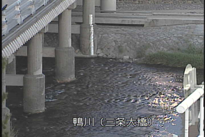 �J�����摜