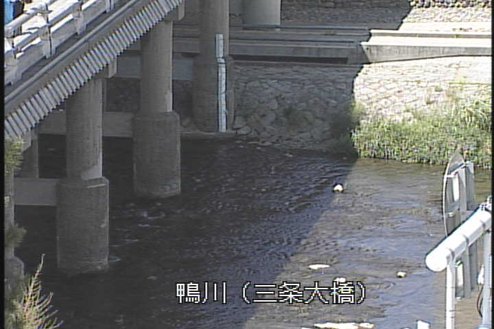 �J�����摜