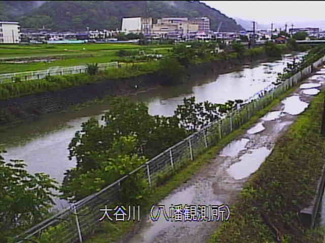 �J�����摜