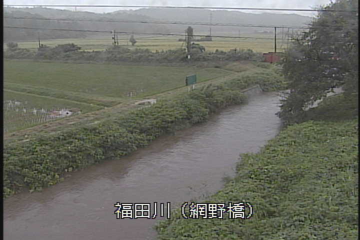 �J�����摜