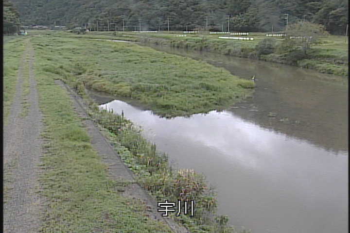 J摜