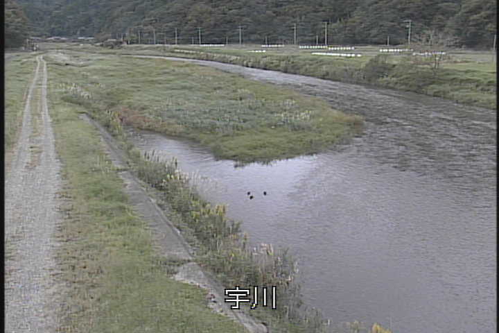 J摜