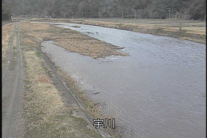 �J�����摜