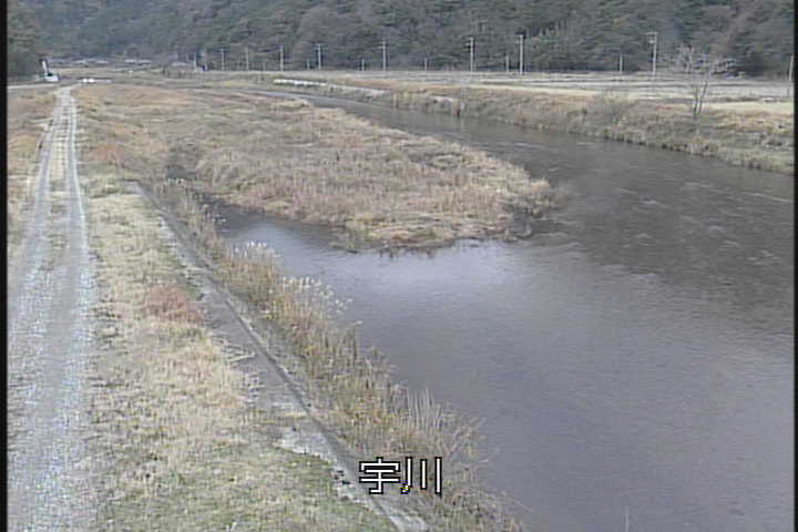 �J�����摜