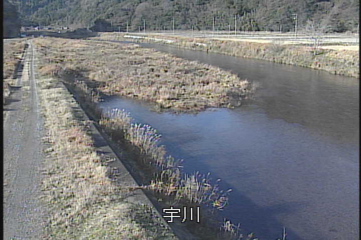 �J�����摜