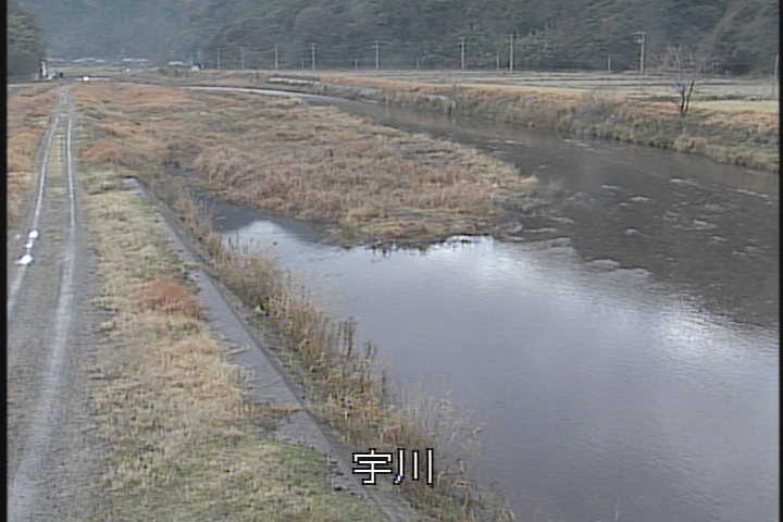 �J�����摜