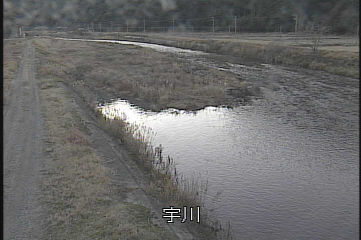 �J�����摜