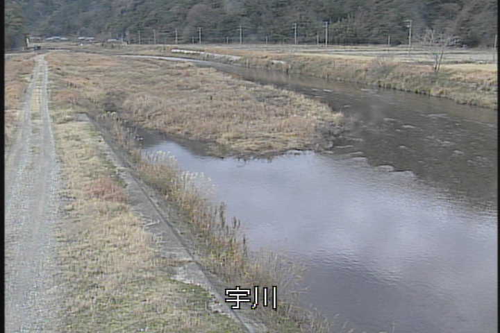 �J�����摜