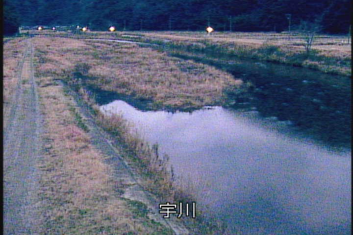 �J�����摜