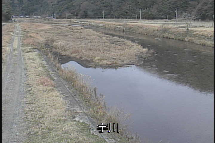 �J�����摜