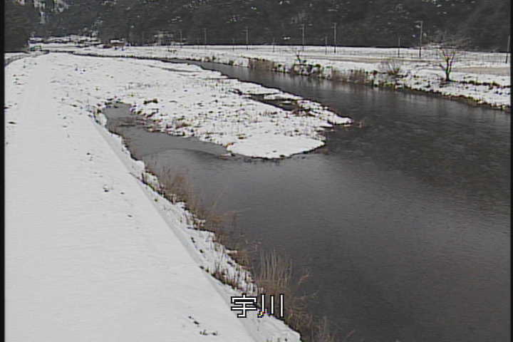 �J�����摜