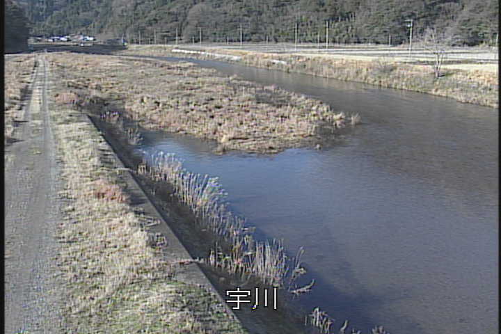 �J�����摜