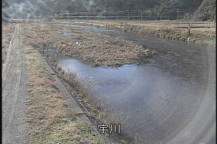 �J�����摜