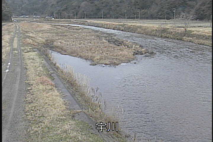 �J�����摜