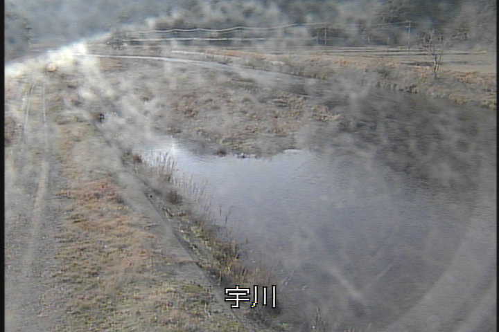 �J�����摜