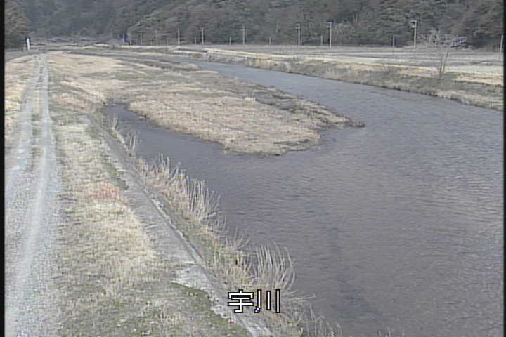 �J�����摜