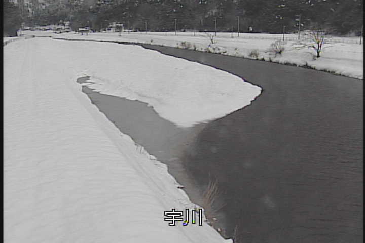 �J�����摜