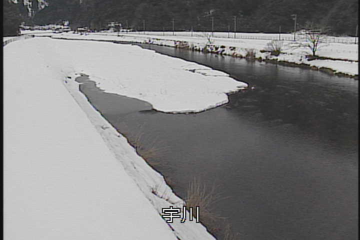 �J�����摜