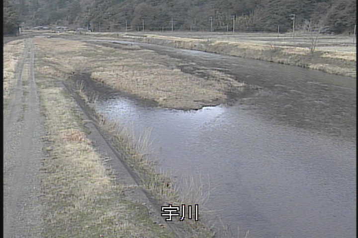 �J�����摜