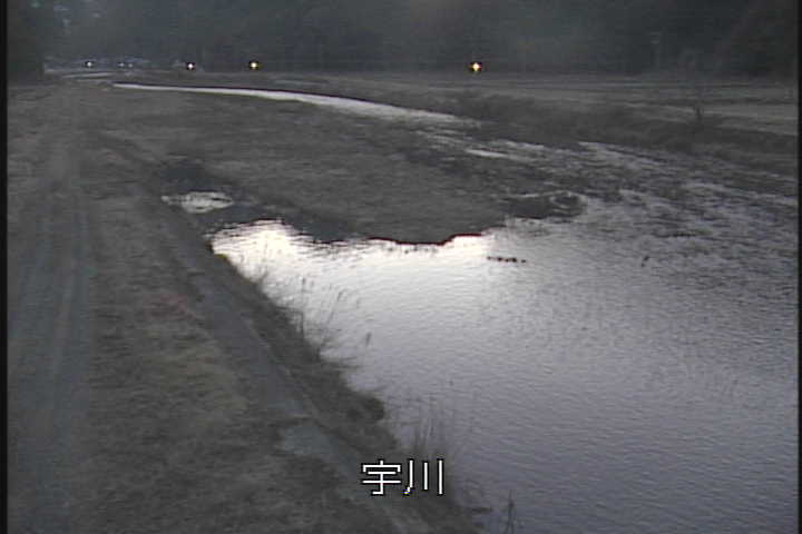 �J�����摜