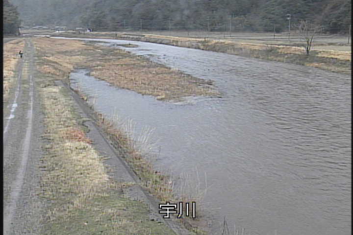 �J�����摜