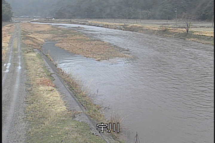 �J�����摜