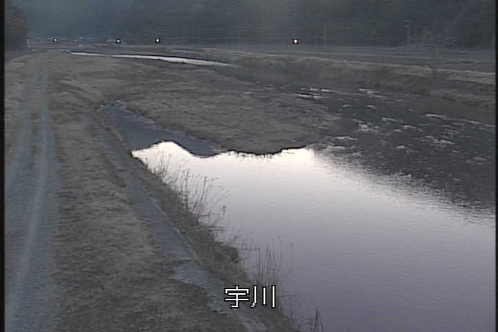 �J�����摜