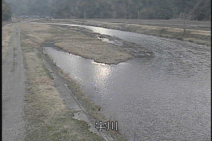 �J�����摜