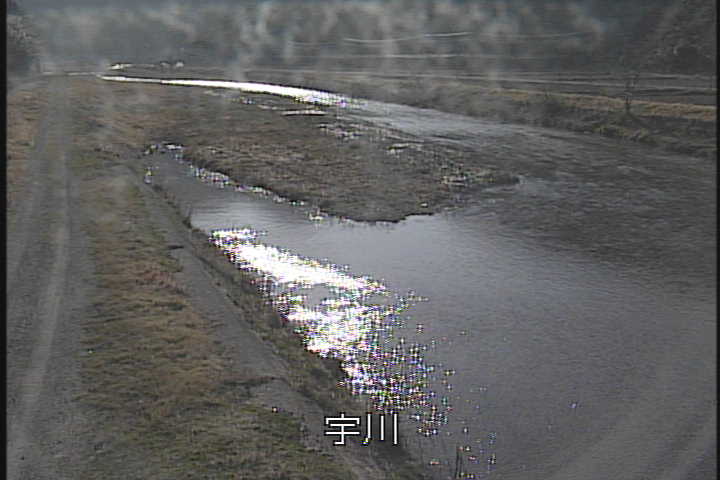 �J�����摜