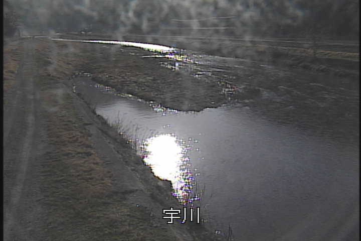 �J�����摜