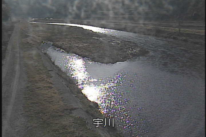 �J�����摜