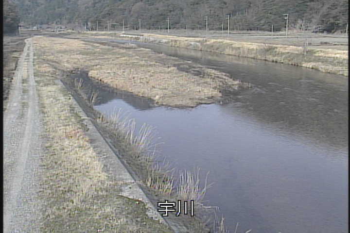 �J�����摜