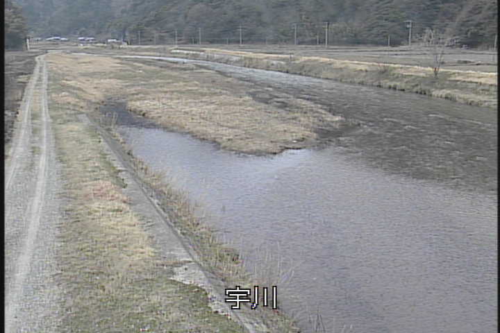 �J�����摜