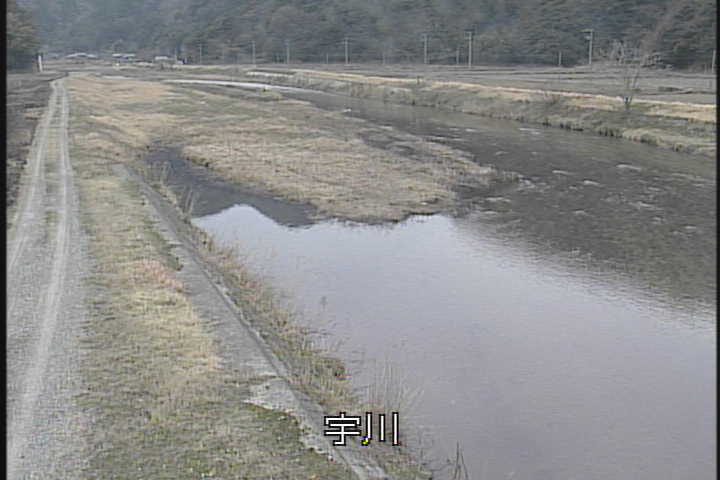 �J�����摜