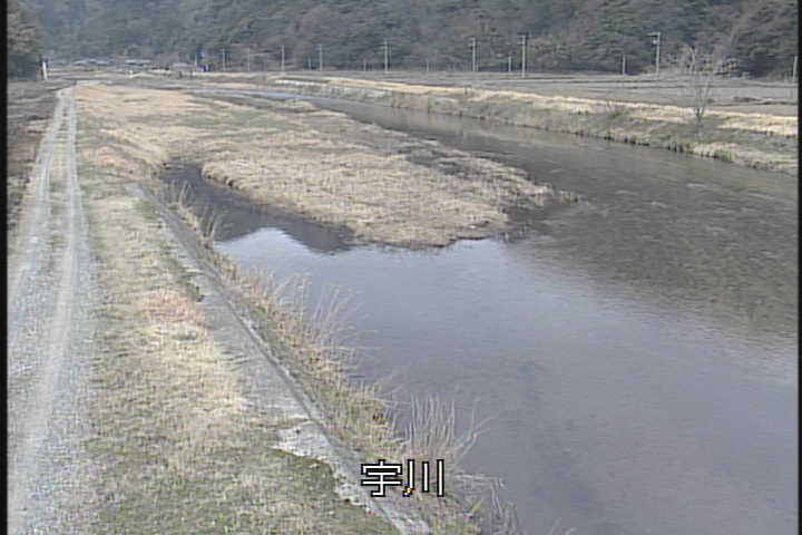 �J�����摜