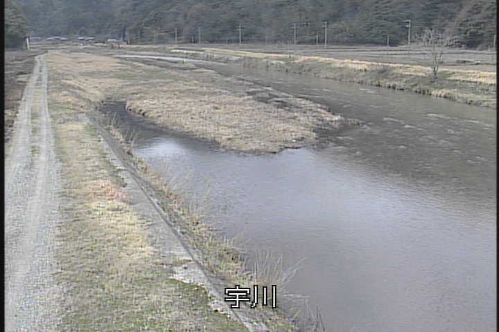 �J�����摜