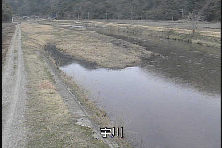 �J�����摜