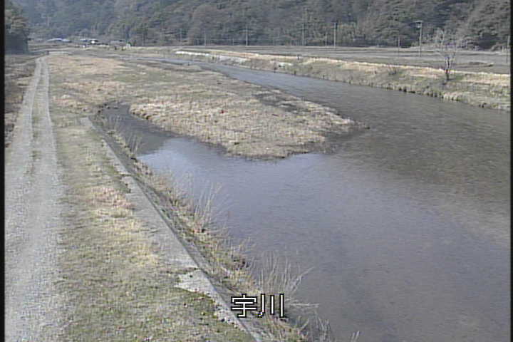 �J�����摜