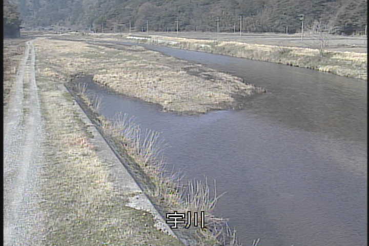 �J�����摜