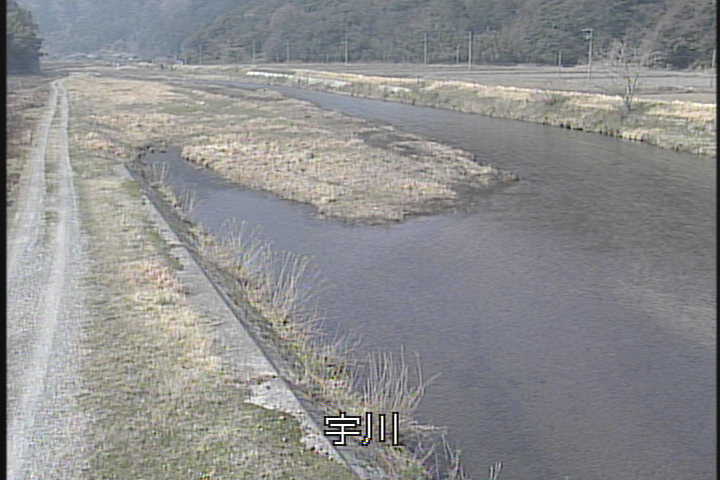 �J�����摜