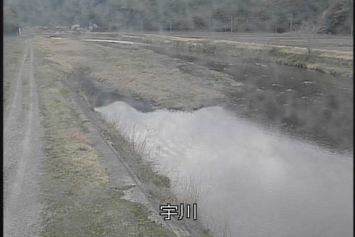 �J�����摜