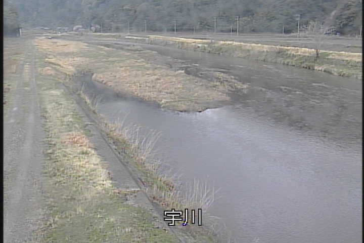 �J�����摜