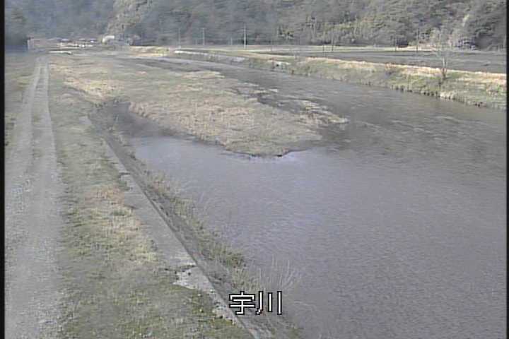 �J�����摜