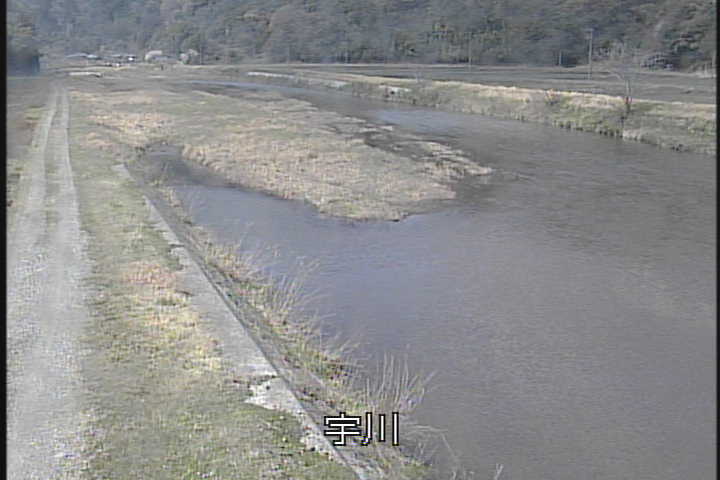 �J�����摜