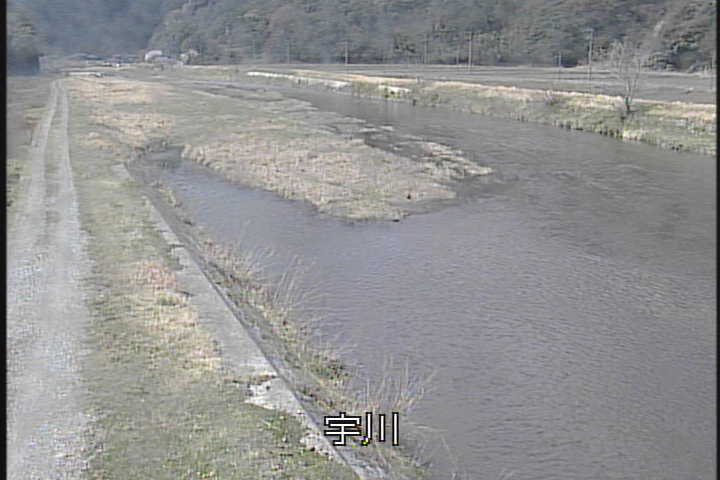 �J�����摜